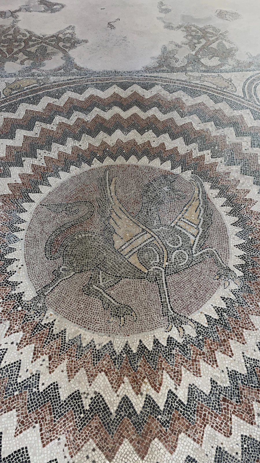 Parrocchia Santa Maria a Mare Cover